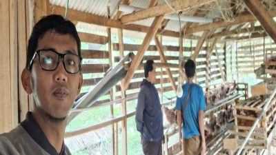 Peternakan Ayam Telur dan Potong di Lebak Menerima Penyaluran KUR dari BRI BO Rangkasbitung, Meningkatkan Produksi Peternakan Lokal