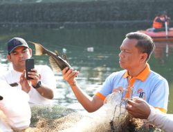 320 Kg Ikan Sapu-Sapu Ditangkap di Waduk Kaja, Operasi Masih Berlanjut