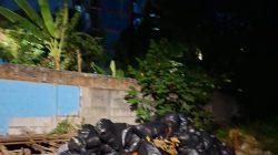 Penumpukan Sampah Hampir Sebulan di Kelurahan Cengkareng Barat Dikeluhkan Warga, Koordinasi RT dan RW Jadi Sorotan