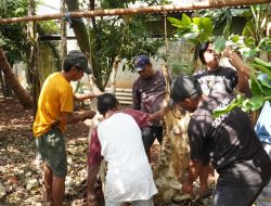 Kodim 0502/JU Salurkan dan Potong Hewan Kurban untuk Warga Jakarta Utara