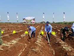 PPAL Ambil Bagian Dalam Gerakan Tanam Tebu Serentak Nasional di Subang