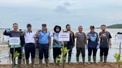 Danlanal Bintan Wakili Dankodaeral IV Hadiri Aksi Penanaman Mangrove Serentak Hari Mangrove Sedunia 2026