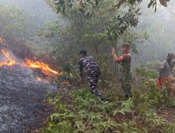 Gerak Cepat TNI AL, Personel Posbinter Pulau Penyengat Lanal Bintan Turun Tangan Padamkan Karhutla Cegah Api Meluas