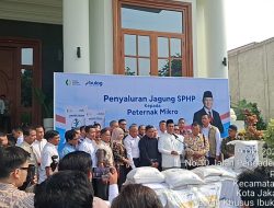 RDP Peternak-DPR: Pasokan Jagung Terjamin, Pabrik Pengolahan Akan Dibangun