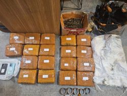 POLDA METRO JAYA BERHASIL MENGAGALKAN PEREDARAN GANJA SEBERAT 18 KILOGRAM DI JAKARTA BARAT