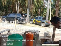 Aktivitas Panen Sawit di Lahan Eks HGU PT BSP Asahan Disorot, Polisi Disebut Turun ke Lokasi