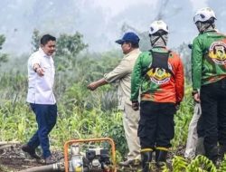 Jalankan Perintah Presiden, Kemenhut Ringkus 6 Perusahaan Kalimantan