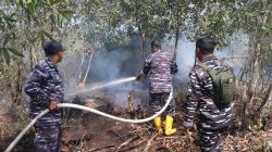 Respons Cepat, Lanal Banjarmasin Bersama Tim Gabungan Lokalisir Karhutla di Guntung Damar