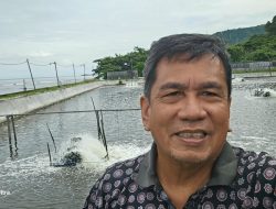 Pemerintah Diharapkan Ambil Peran Optimalisasi Udang Lokal Sebagai Instrumen Ekonomi Indonesia