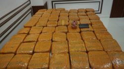 Polda Metro Jaya Berhasil Mengungkap Peredaran 62,5 Kilogram Ganja, di Jakarta Barat 