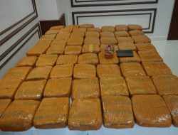 Polda Metro Jaya Berhasil Mengungkap Peredaran 62,5 Kilogram Ganja, di Jakarta Barat 