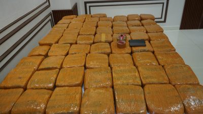 Polda Metro Jaya Berhasil Mengungkap Peredaran 62,5 Kilogram Ganja, di Jakarta Barat 